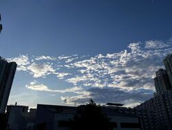 Ang Mo Kio Avenue 3 (D20), Semi-Detached #504668921